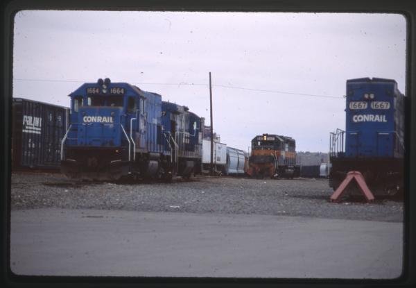 Undescribed David Edwards Slide 524