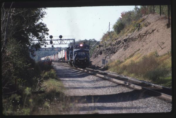 Undescribed David Edwards Slide 533