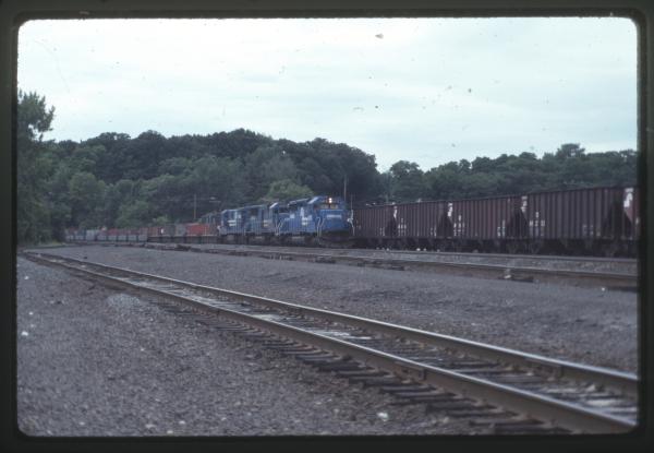 Undescribed David Edwards Slide 561