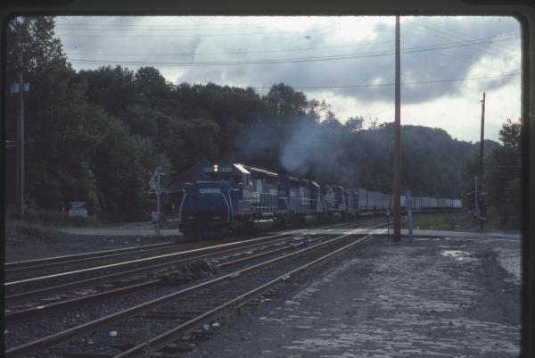 Undescribed David Edwards Slide 585