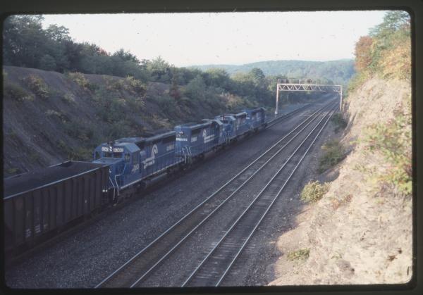 Undescribed David Edwards Slide 594