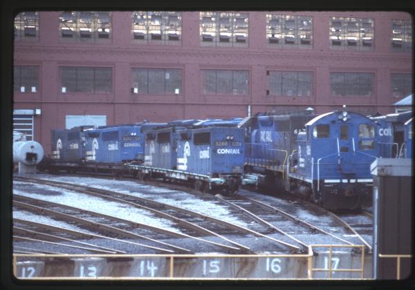 Undescribed David Edwards Slide 596