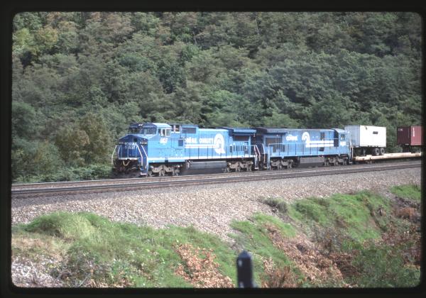Undescribed David Edwards Slide 598