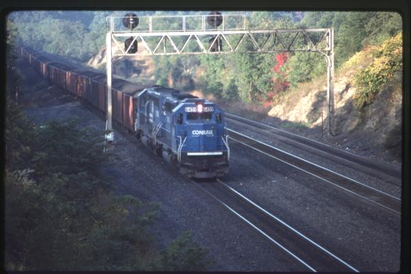 Undescribed David Edwards Slide 599