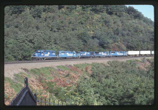 Undescribed David Edwards Slide 604