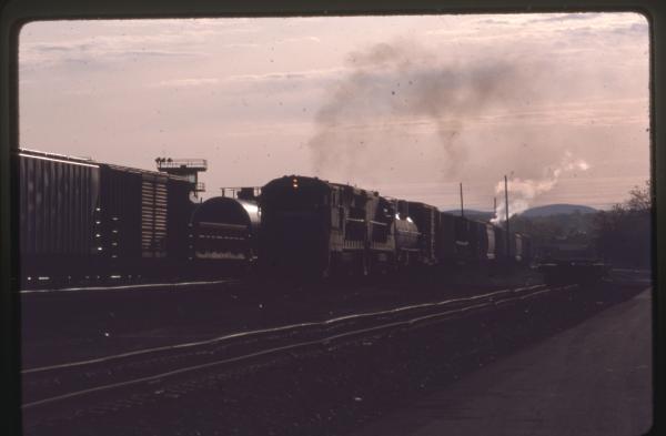 Undescribed David Edwards Slide 616
