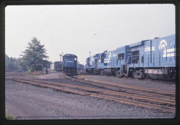 Undescribed David Edwards Slide 718