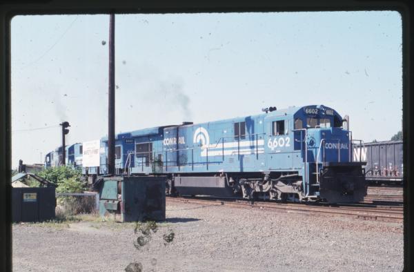Undescribed David Edwards Slide 724