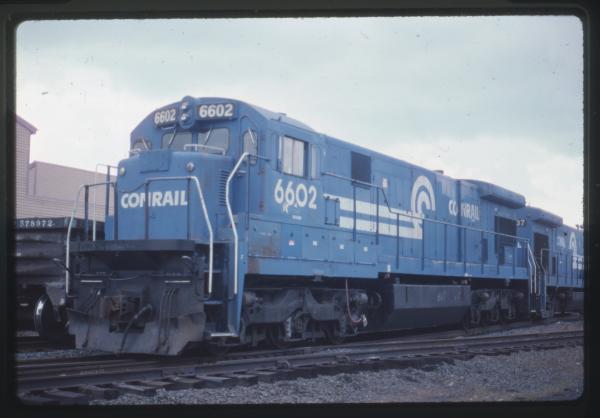 Undescribed David Edwards Slide 759
