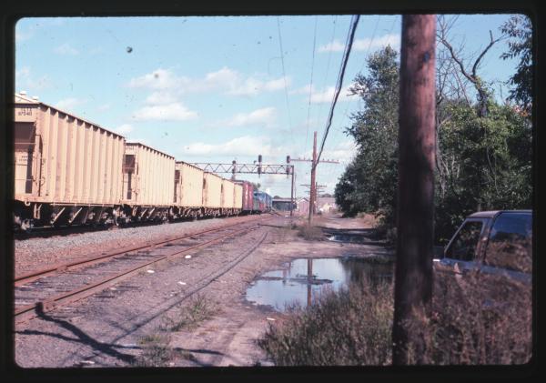 Undescribed David Edwards Slide 796