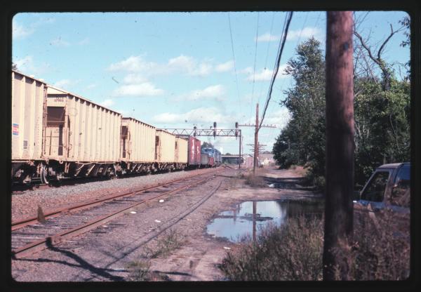 Undescribed David Edwards Slide 798