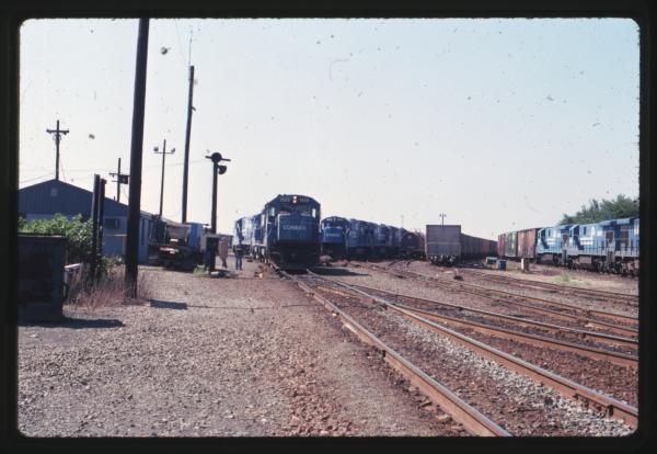 Undescribed David Edwards Slide 832