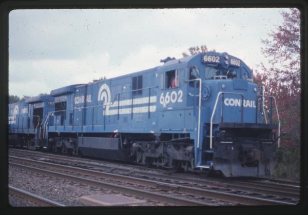 Undescribed David Edwards Slide 839