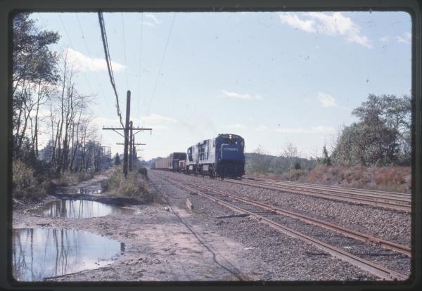 Undescribed David Edwards Slide 897