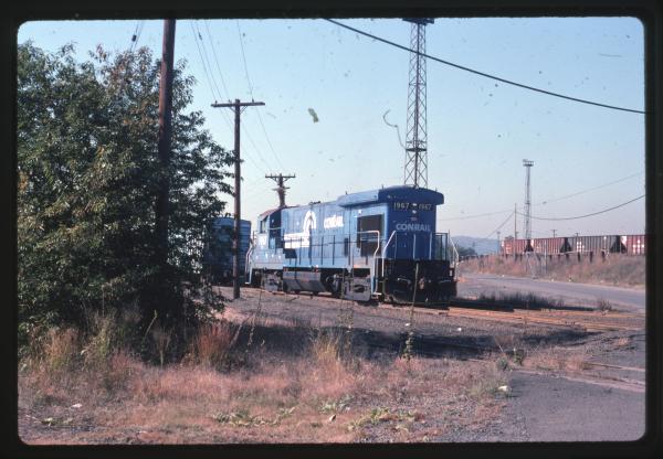 Undescribed David Edwards Slide 901