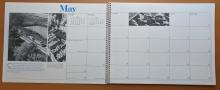 1981 Appointment Calendar