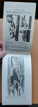 Pole Climber's Guidebook